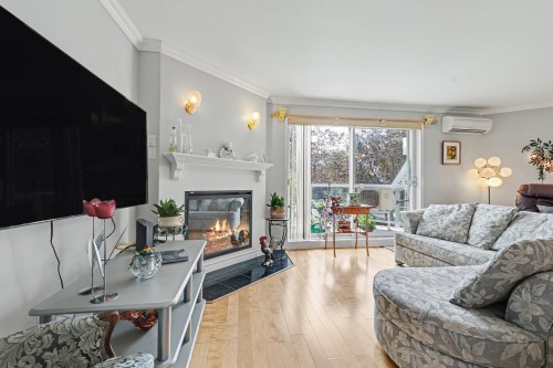 Salon - 202-960 Rue Des Faucons, Sainte-Catherine, QC - Indoor Photo Showing Living Room With Fireplace