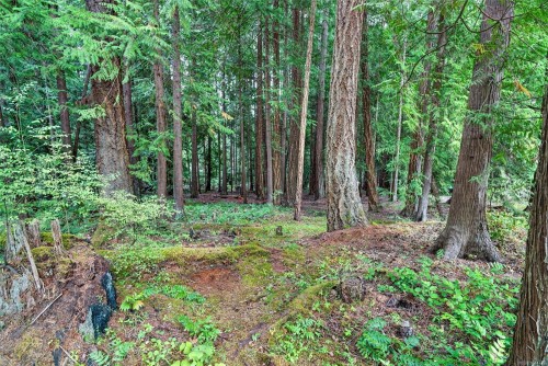 1012 Fairdowne Rd, Errington, BC 