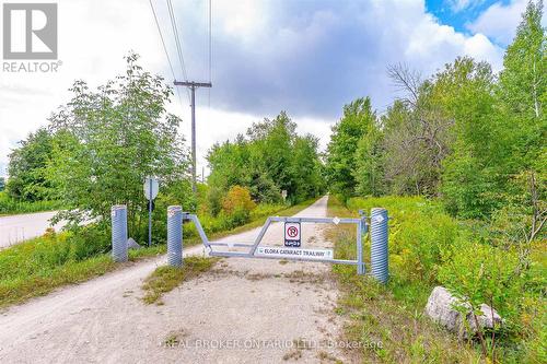 445 Pine Pass, Centre Wellington, ON - Outdoor