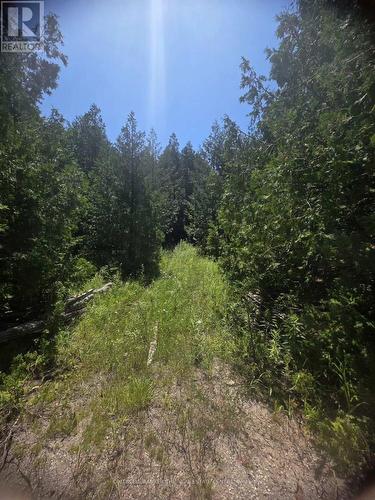 N/A Government Rd Acres W, Tehkummah, ON 