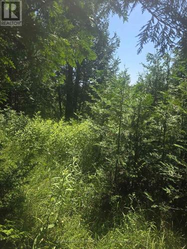 N/A Government Rd Acres W, Tehkummah, ON 