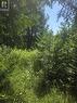 N/A Government Rd Acres W, Tehkummah, ON 
