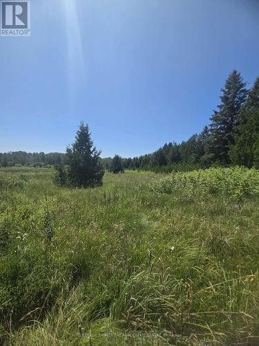 N/A Government Rd Acres W, Tehkummah, ON 