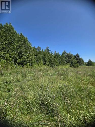 N/A Government Rd Acres W, Tehkummah, ON 