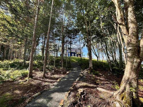 226 Torus Drive, Macnabs Cove, NS - Outdoor With View