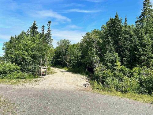 226 Torus Drive, Macnabs Cove, NS - Outdoor With View
