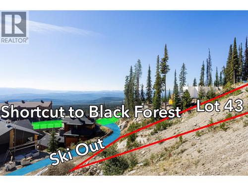 465 Feathertop Way, Big White, BC 
