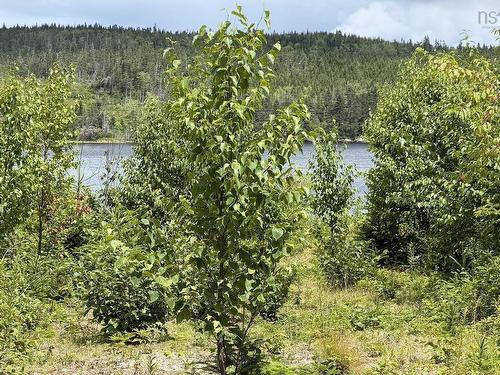Lot 09-2 West Liscomb Point Road, Liscomb Mills, NS 