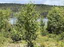 Lot 09-2 West Liscomb Point Road, Liscomb Mills, NS 