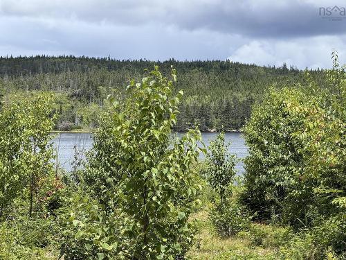 Lot 09-2 West Liscomb Point Road, Liscomb Mills, NS 