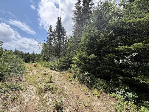 Lot 09-2 West Liscomb Point Road, Liscomb Mills, NS 