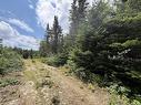 Lot 09-2 West Liscomb Point Road, Liscomb Mills, NS 