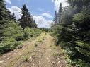Lot 09-2 West Liscomb Point Road, Liscomb Mills, NS 