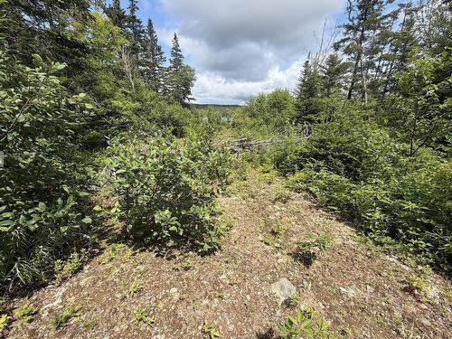 Lot 09-2 West Liscomb Point Road, Liscomb Mills, NS 