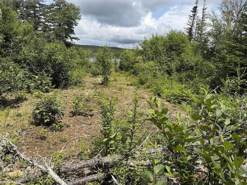 Lot 09-2 West Liscomb Point Road, Liscomb Mills, NS 