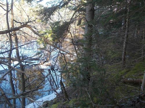Macgarry Road, St. Joseph Du Moine, NS 