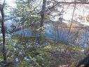 Macgarry Road, St. Joseph Du Moine, NS 