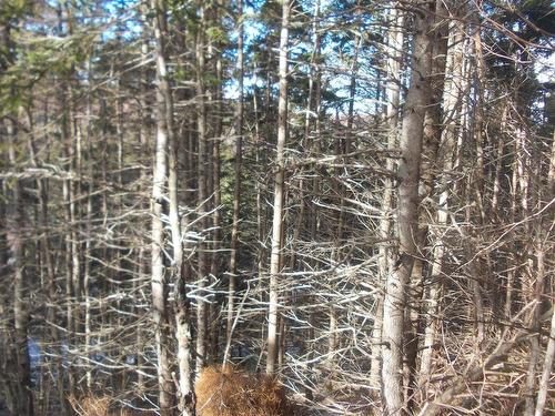 Macgarry Road, St. Joseph Du Moine, NS 