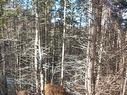 Macgarry Road, St. Joseph Du Moine, NS 