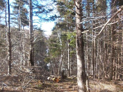 Macgarry Road, St. Joseph Du Moine, NS 
