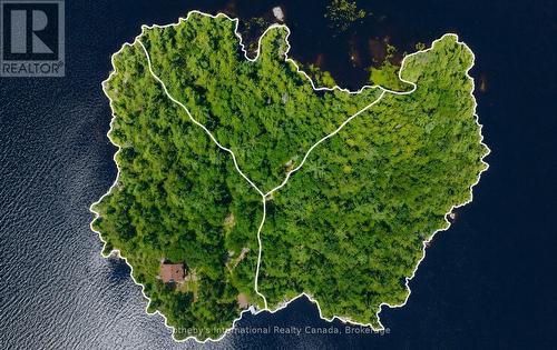 Possible Severance Layout - 1 Island 29Kl Kahshe Lake - Cooee Island, Gravenhurst (Morrison), ON - Outdoor With Body Of Water