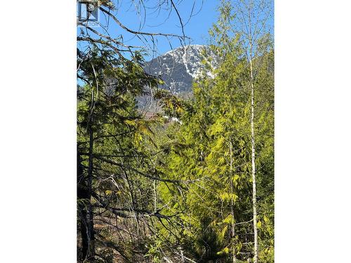 Lot C Richie Road, Rossland, BC 