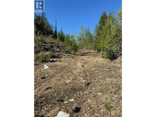 Lot C Richie Road, Rossland, BC 