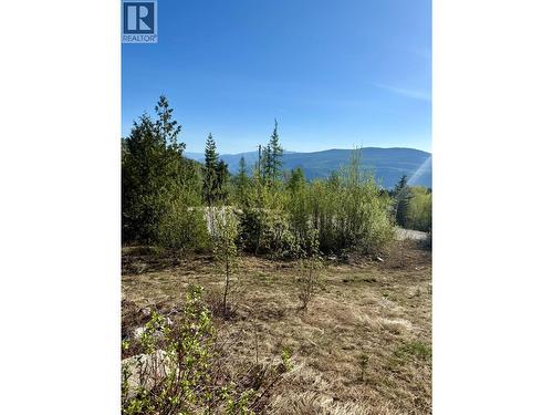Lot C Richie Road, Rossland, BC 