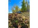 311 Richie Road, Rossland, BC 