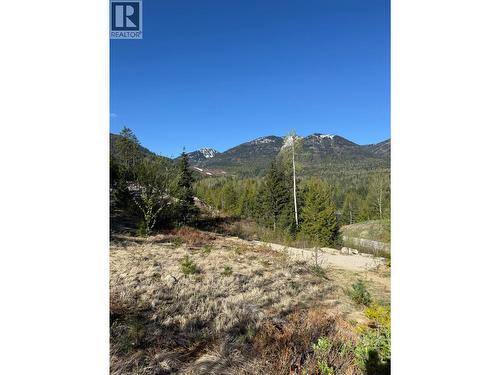 311 Richie Road, Rossland, BC 