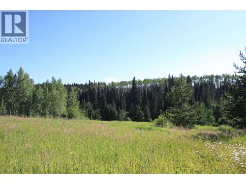 8245 Bridge Lake North Road, Bridge Lake, BC - Outdoor With View