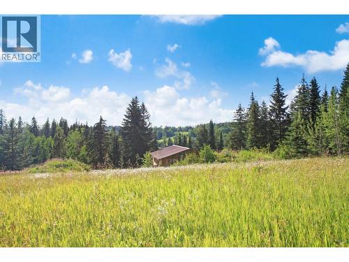 8245 Bridge Lake North Road, Bridge Lake, BC - Outdoor With View