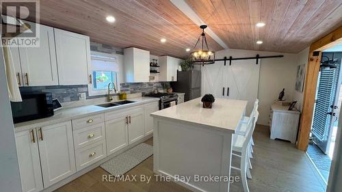 420 - 225 Platten Boulevard, Scugog, ON - Indoor Photo Showing Kitchen With Double Sink
