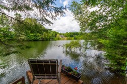 Bord de l'eau - 