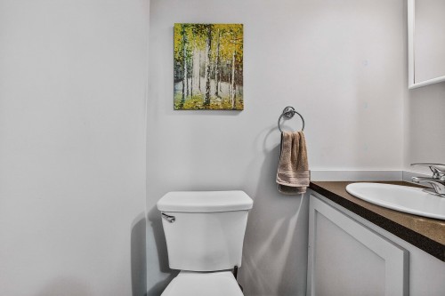 Salle de bains - 14 Rue Boivin, Labelle, QC - Indoor Photo Showing Bathroom