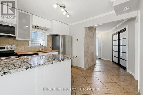 51 Delena Avenue, Hamilton, ON - Indoor Photo Showing Kitchen With Upgraded Kitchen