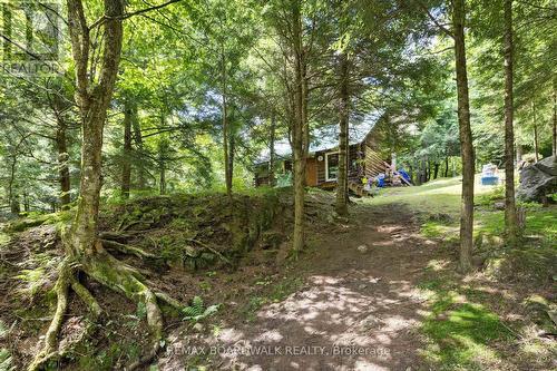 24163 Highway 7 Highway, Frontenac (Frontenac Centre), ON - Outdoor