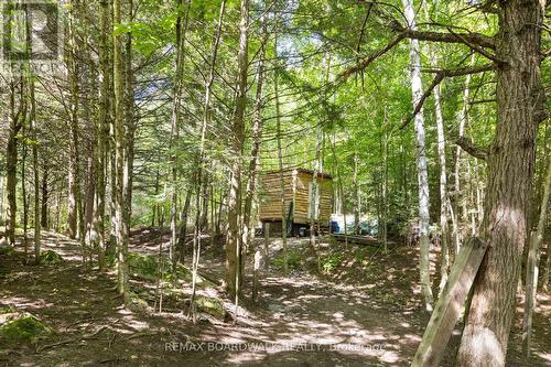 24163 Highway 7 Highway, Frontenac (Frontenac Centre), ON - Outdoor