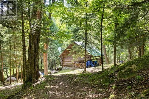 24163 Highway 7 Highway, Frontenac (Frontenac Centre), ON - Outdoor
