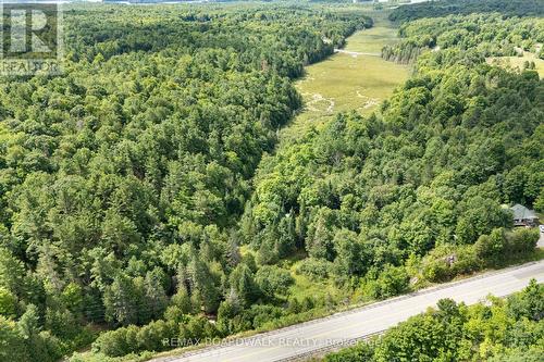 24163 Highway 7 Highway, Frontenac (Frontenac Centre), ON - Outdoor With View