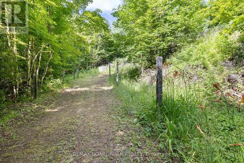 24163 Highway 7 Highway, Frontenac (Frontenac Centre), ON - Outdoor