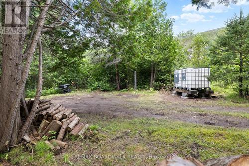 24163 Highway 7 Highway, Frontenac (Frontenac Centre), ON - Outdoor