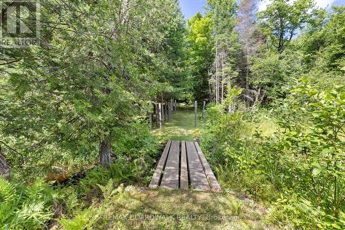 24163 Highway 7 Highway, Frontenac (Frontenac Centre), ON - Outdoor