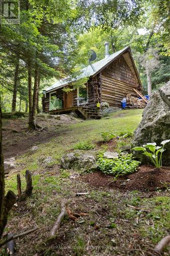 24163 Highway 7 Highway, Frontenac (Frontenac Centre), ON - Outdoor