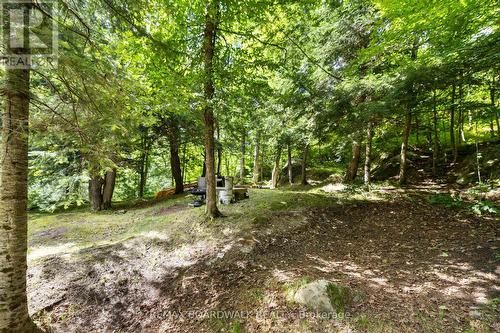 24163 Highway 7 Highway, Frontenac (Frontenac Centre), ON - Outdoor