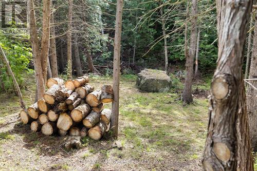 24163 Highway 7 Highway, Frontenac (Frontenac Centre), ON - Outdoor