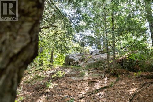 24163 Highway 7 Highway, Frontenac (Frontenac Centre), ON - Outdoor