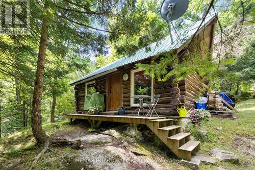 24163 Highway 7 Highway, Frontenac (Frontenac Centre), ON - Outdoor