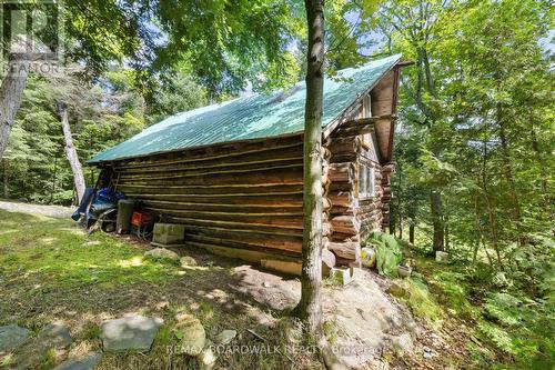 24163 Highway 7 Highway, Frontenac (Frontenac Centre), ON - Outdoor