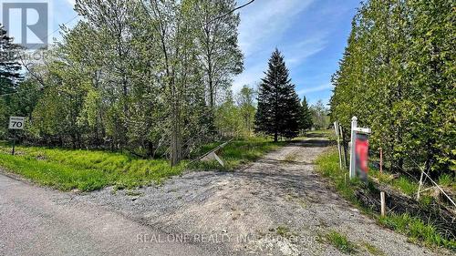 4778 Holborn Road, East Gwillimbury, ON - Outdoor